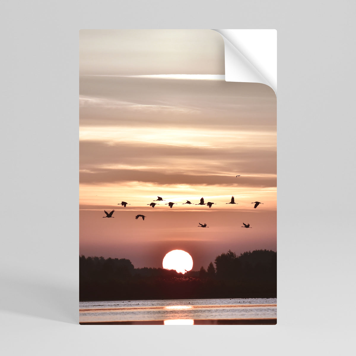 SUNSET FLIGHT SYMPHONY Svislý samolepicí plakát