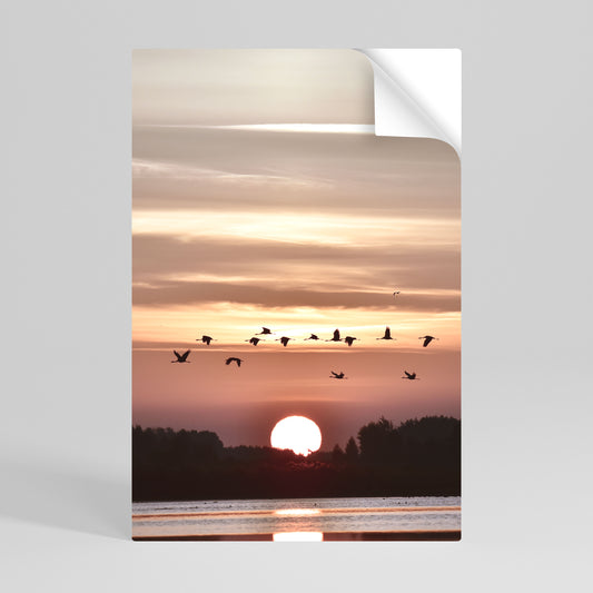 SUNSET FLIGHT SYMPHONY Svislý samolepicí plakát