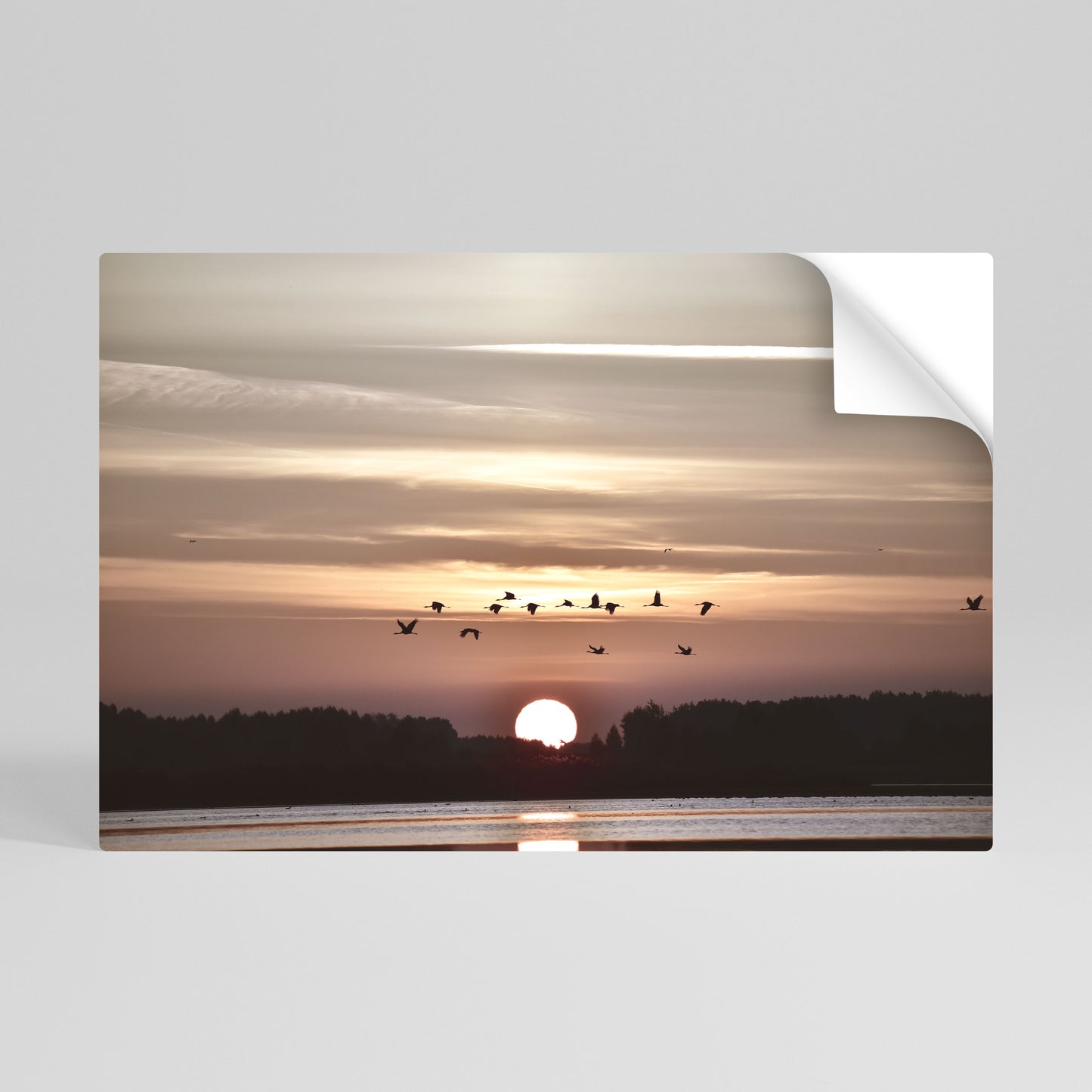 SUNSET FLIGHT SYMPHONY Vodorovný samolepicí plakát