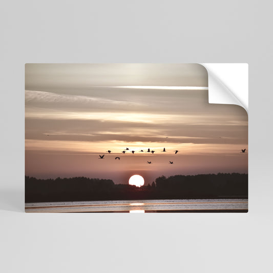 SUNSET FLIGHT SYMPHONY Vodorovný samolepicí plakát