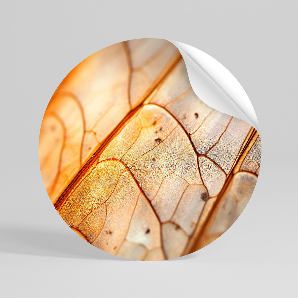 ELEGANT VEINING Kulatá samolepka