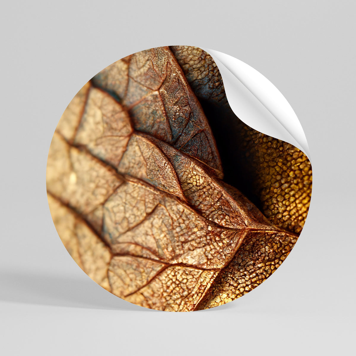 RUSTIC TEXTURE STUDY Kulatá samolepka