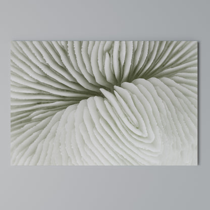 NATURE'S SYMMETRY Horizontal Canvas Print