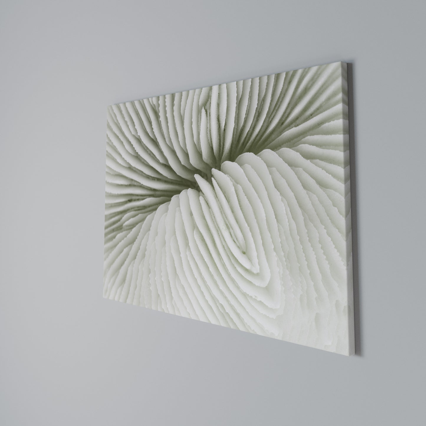 NATURE'S SYMMETRY Horizontal Canvas Print