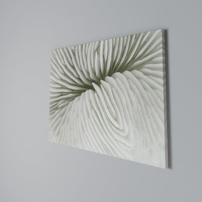 NATURE'S SYMMETRY Horizontal Canvas Print