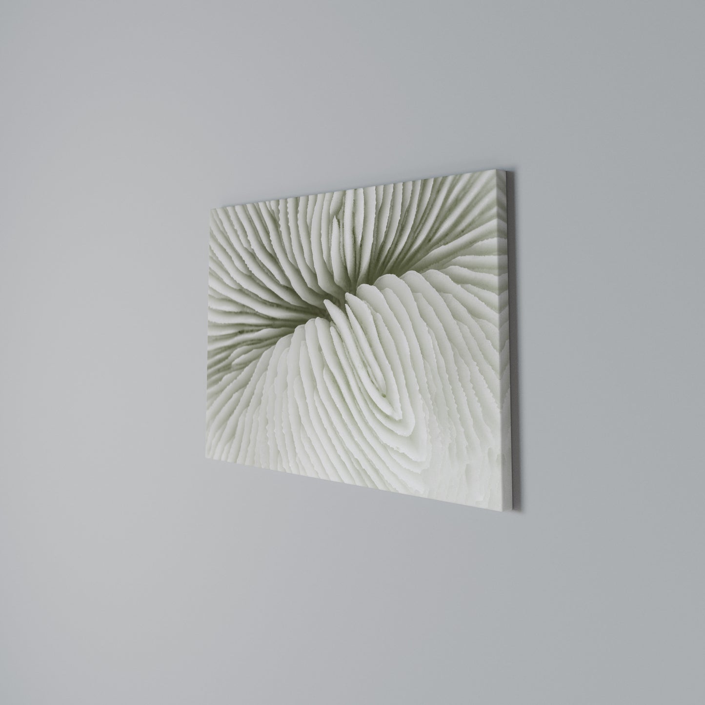 NATURE'S SYMMETRY Horizontal Canvas Print