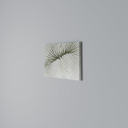 NATURE'S SYMMETRY Horizontal Canvas Print