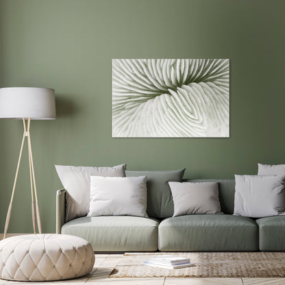 NATURE'S SYMMETRY Horizontal Canvas Print