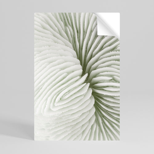 NATURE'S SYMMETRY Svislý samolepicí plakát