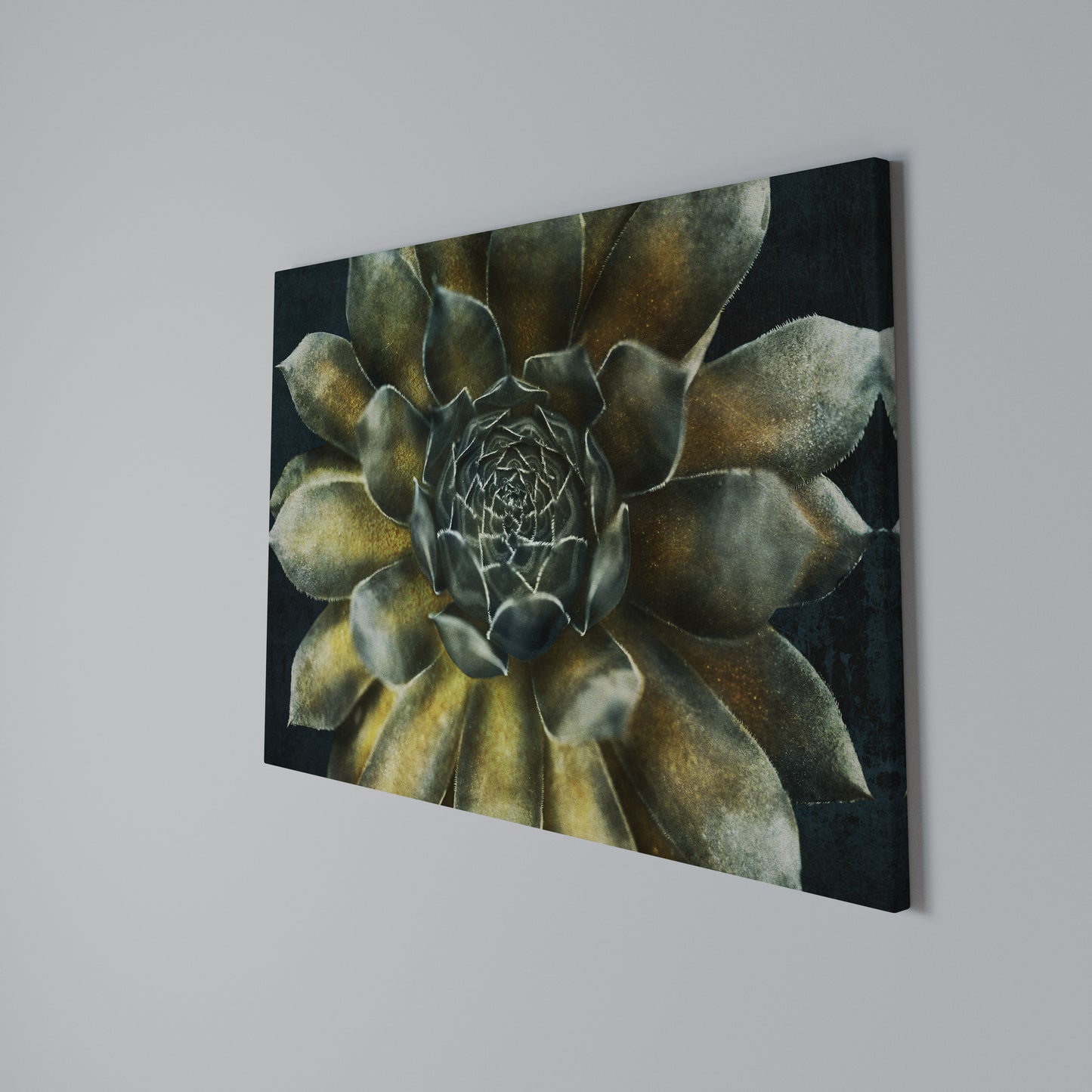 MYSTICAL SUCCULENT WHIRL Horizontal Canvas Print