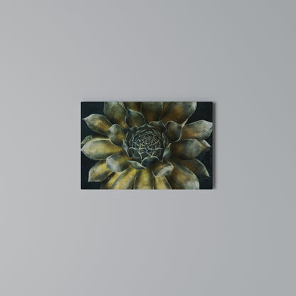 MYSTICAL SUCCULENT WHIRL Horizontal Canvas Print