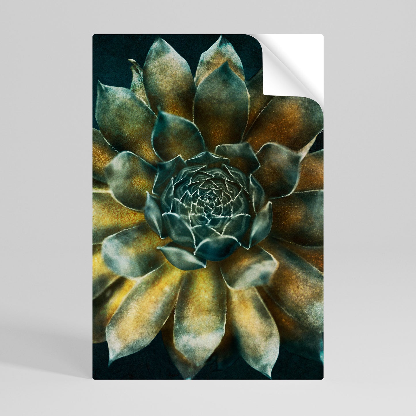 MYSTICAL SUCCULENT WHIRL Svislý samolepicí plakát