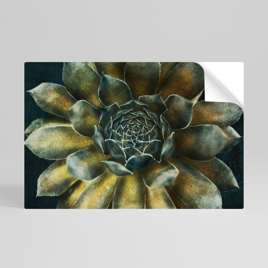 MYSTICAL SUCCULENT WHIRL Vodorovný samolepicí plakát