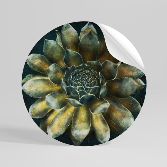 MYSTICAL SUCCULENT WHIRL Kulatá samolepka