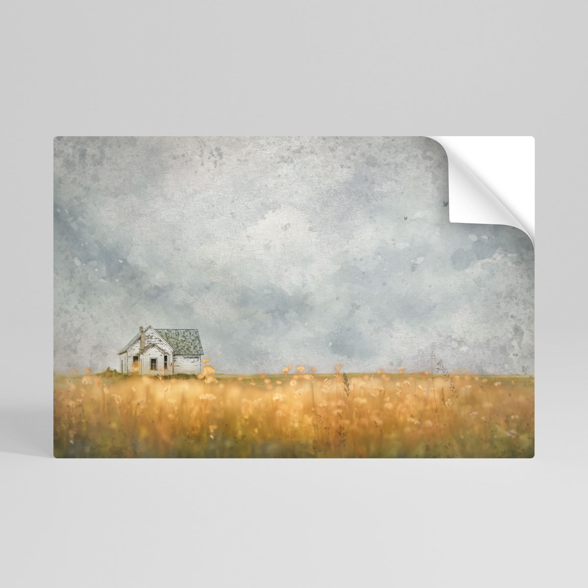 FIELDS OF FADING LIGHT Vodorovný samolepicí plakát