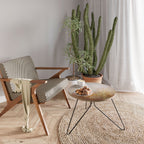 MEADOW BUTTERFLIES Konferenční stolek