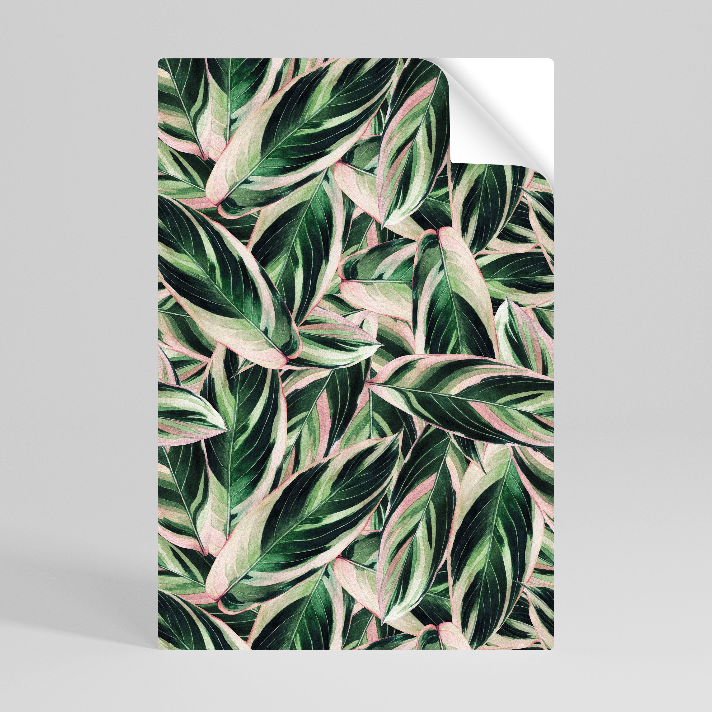 EERIE STROMANTHE Svislý samolepicí plakát