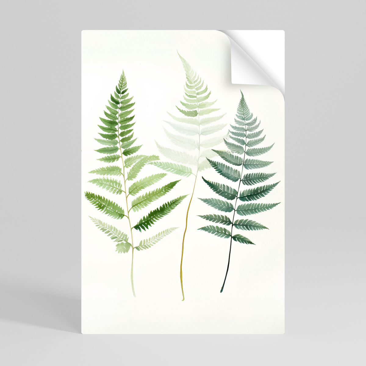 FERN MAJESTY Svislý samolepicí plakát
