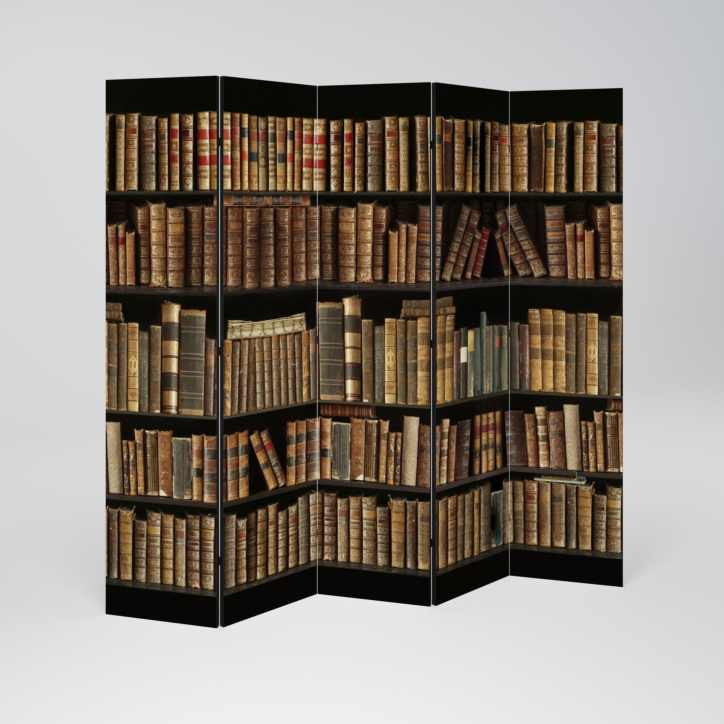 SHELVES OF TIME 5dílný paraván