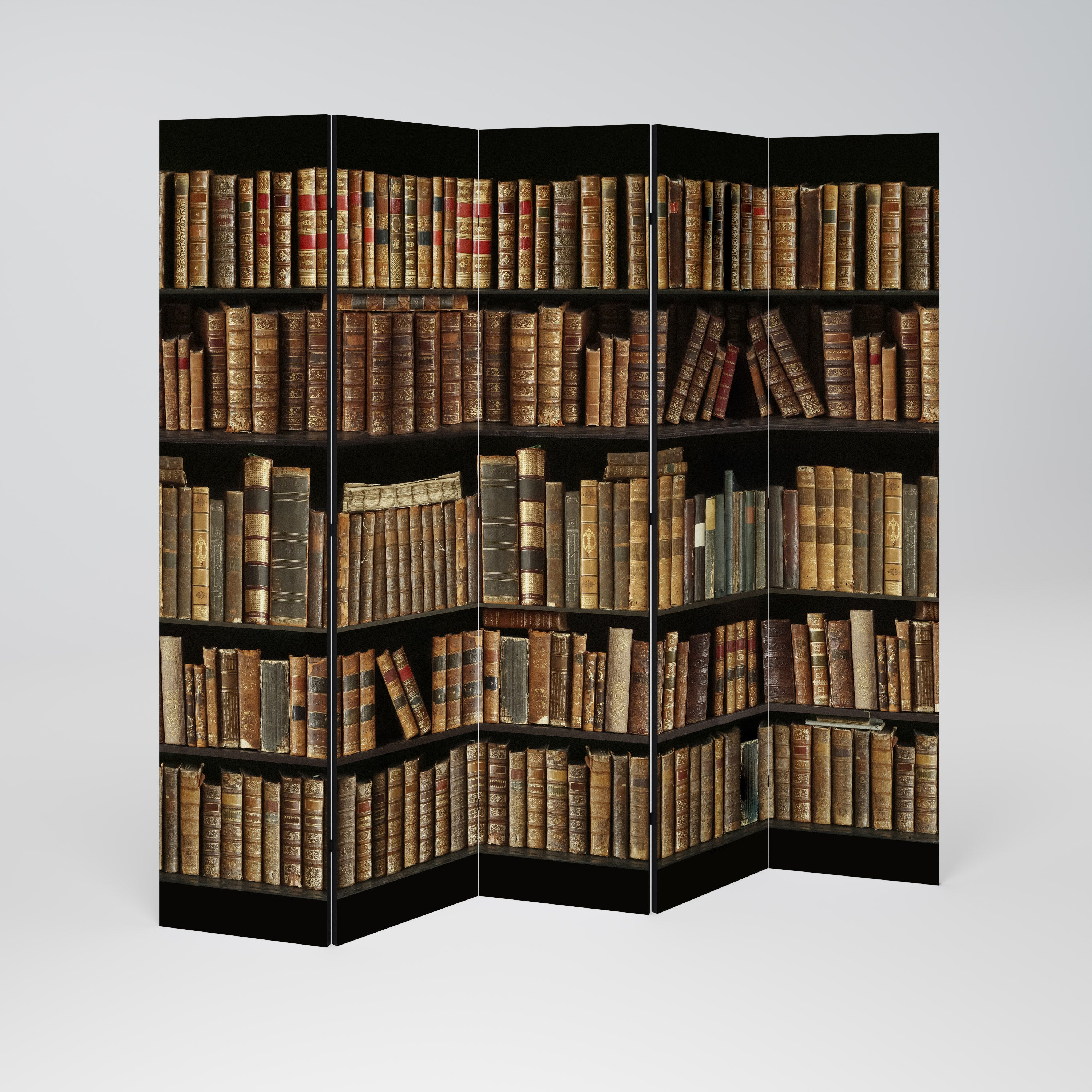 SHELVES OF TIME 5dílný paraván