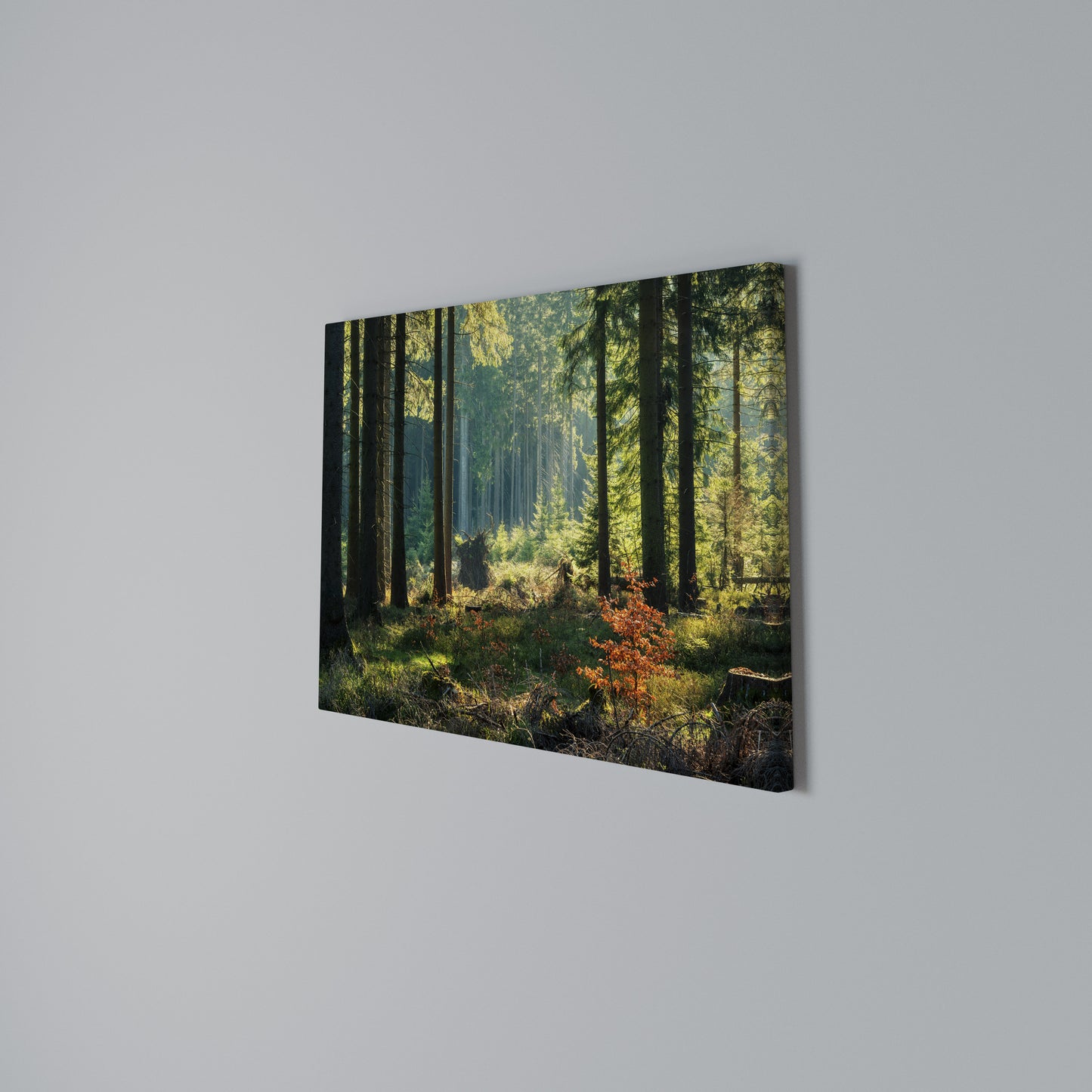 SUNLIT FOREST SERENADE Horizontal Canvas Print