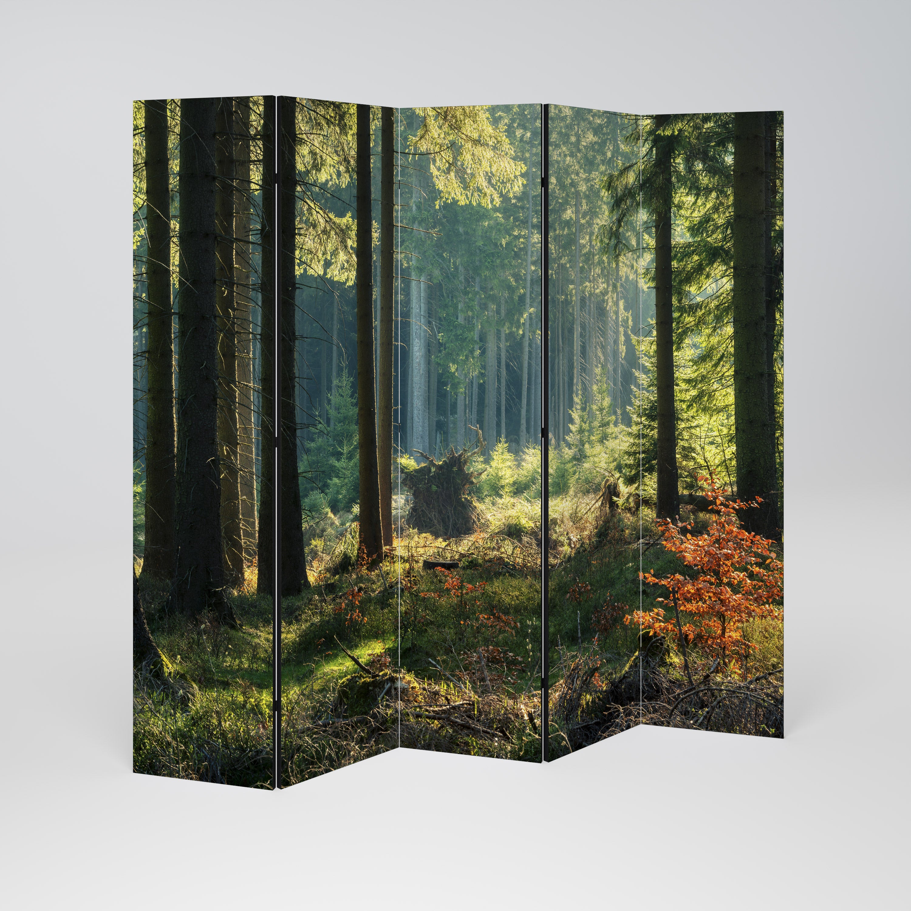 SUNLIT FOREST SERENADE 5dílný paraván