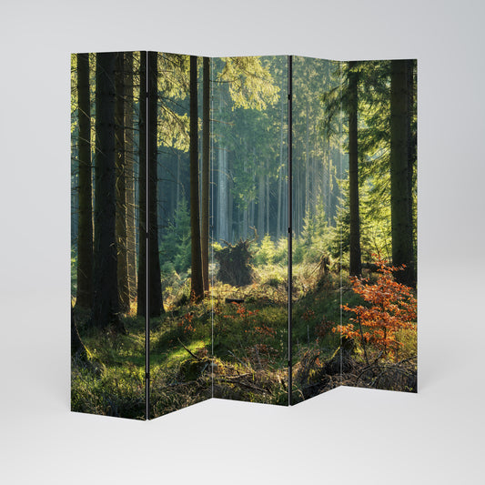 SUNLIT FOREST SERENADE 5dílný paraván