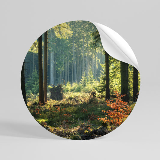 SUNLIT FOREST SERENADE Kulatá samolepka