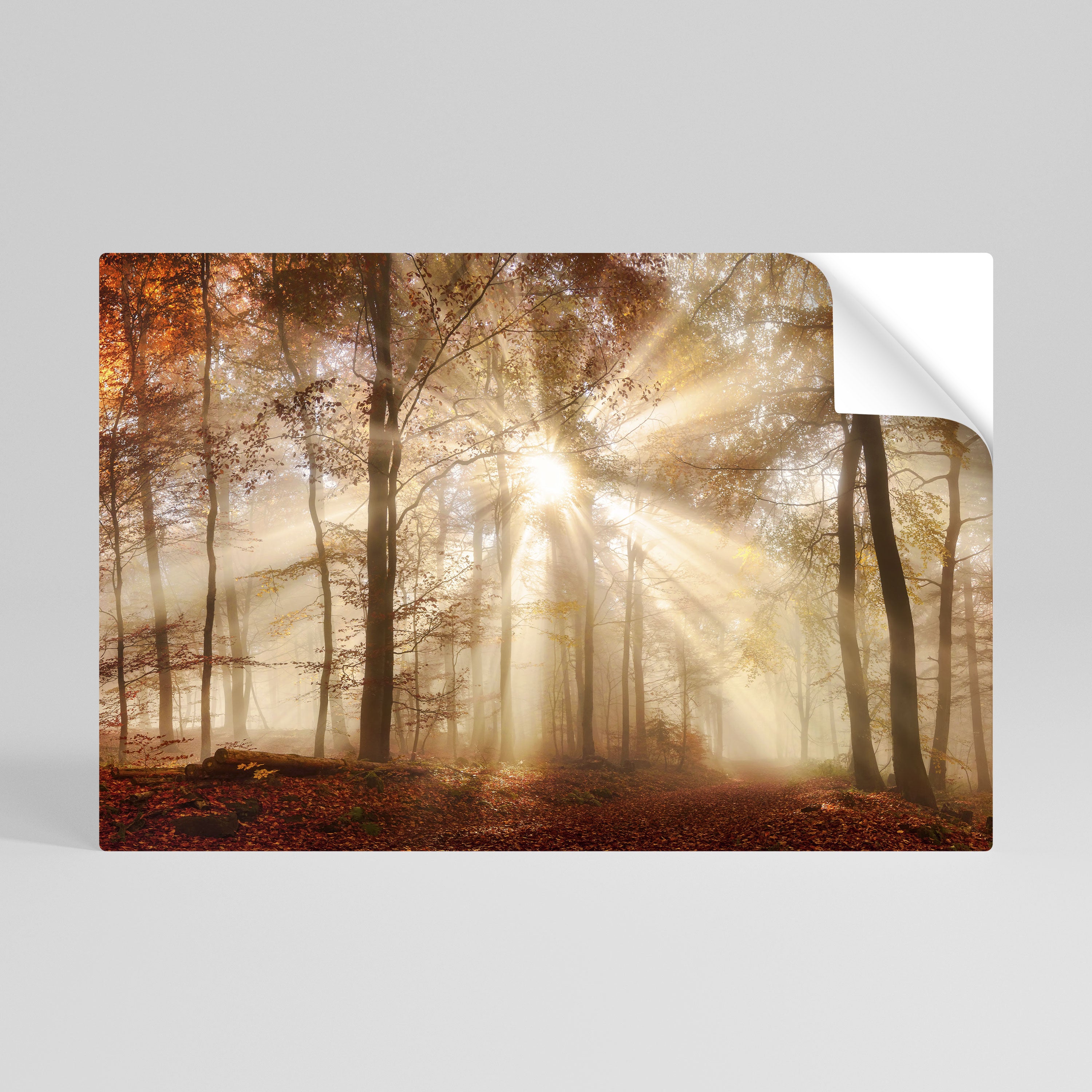 WHISPERS OF AUTUMN Peel and Stick Horizontal Poster