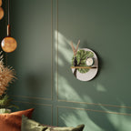 WILDERNESS DASH Designová police