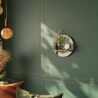 WILDERNESS DASH Designová police