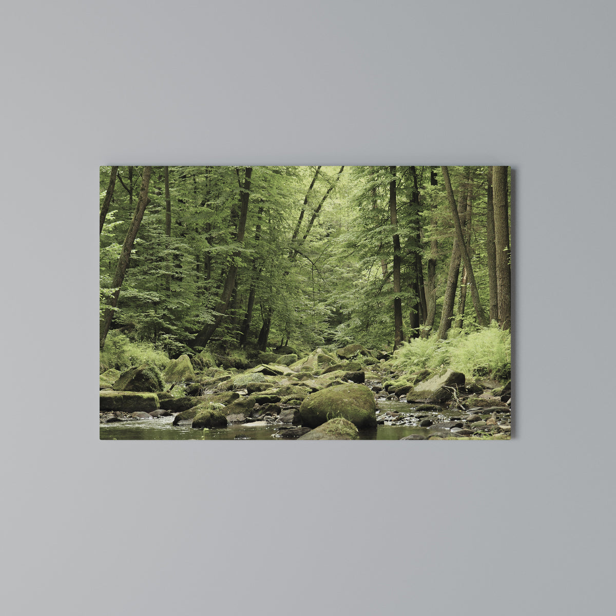 TRANQUIL STONES AND STREAMS Horizontal Canvas Print