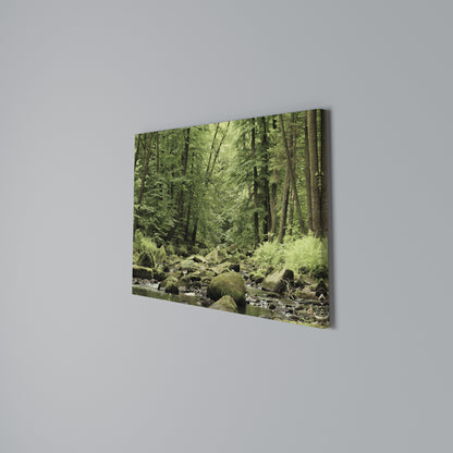 TRANQUIL STONES AND STREAMS Horizontal Canvas Print
