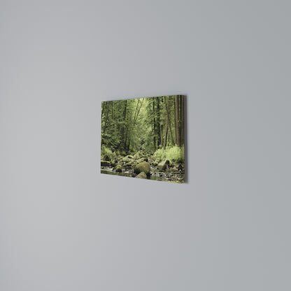 TRANQUIL STONES AND STREAMS Horizontal Canvas Print