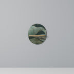 ROYAL GREEN Designová police