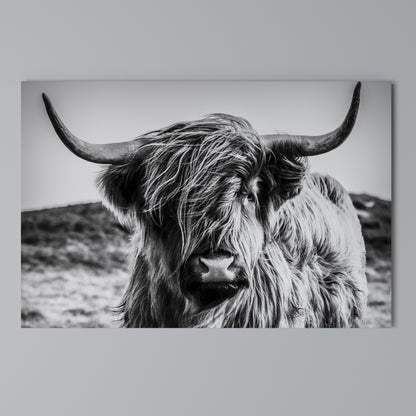 WILD SPIRIT REFLECTED Horizontal Canvas Print