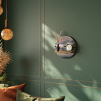 FOGGY HORIZON Designová police