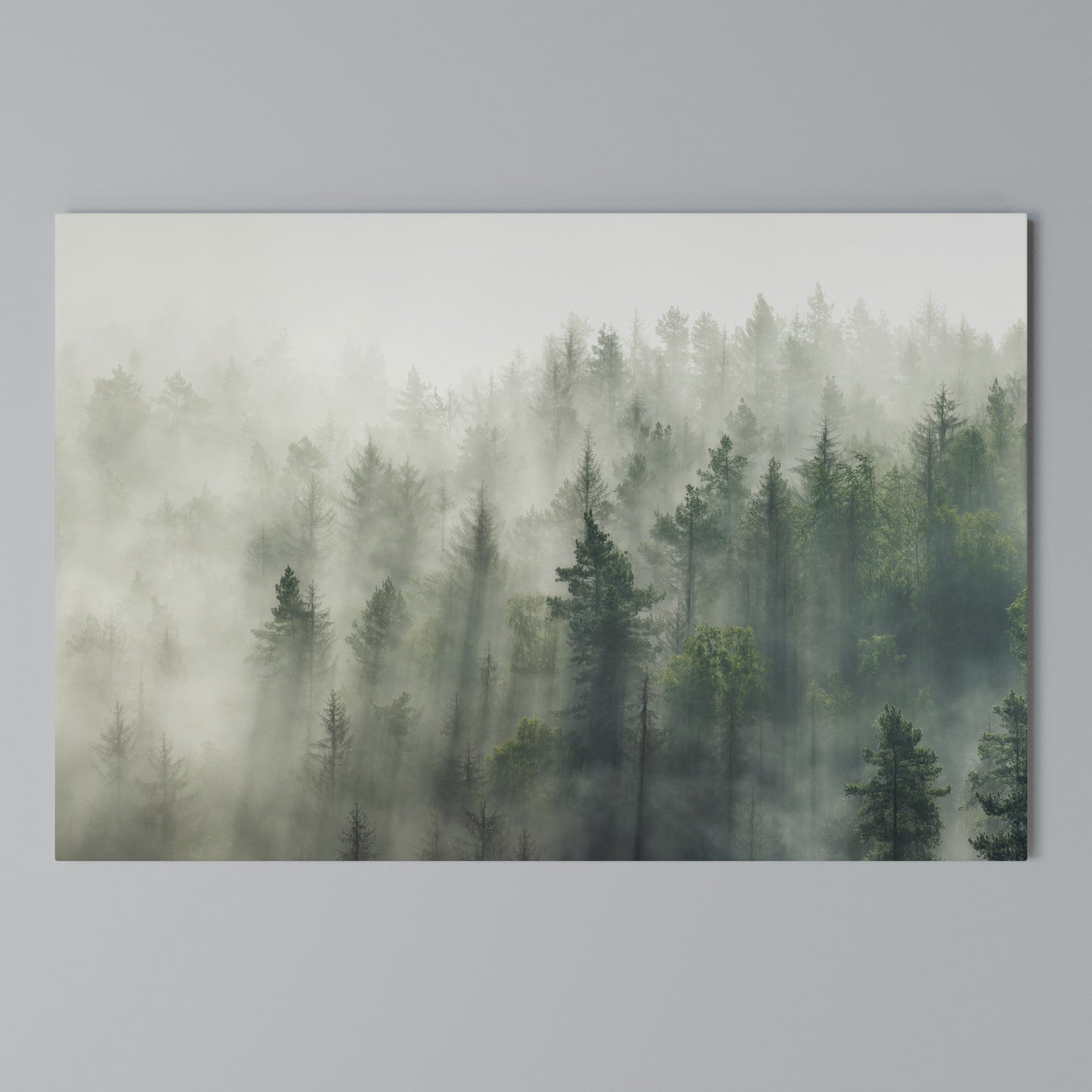 MISTY FOREST Horizontal Canvas Print
