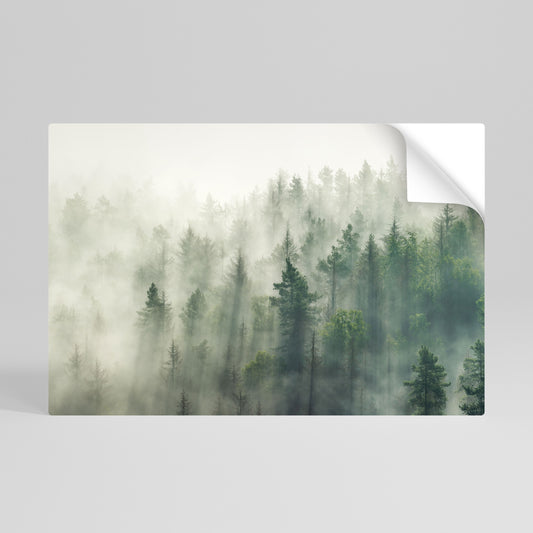 MISTY FOREST Vodorovný samolepicí plakát