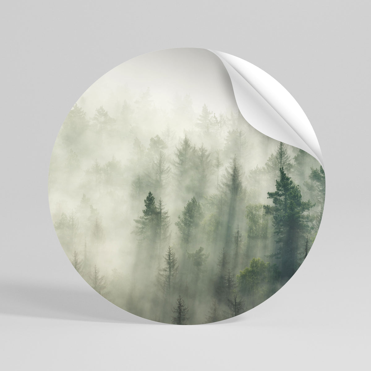 MISTY FOREST Kulatá samolepka