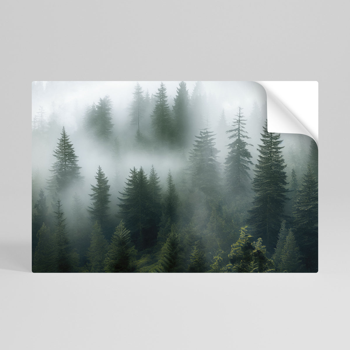 FOGGY CREST Vodorovný samolepicí plakát