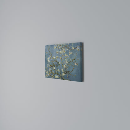 ALMOND BLOSSOM Horizontal Canvas Print