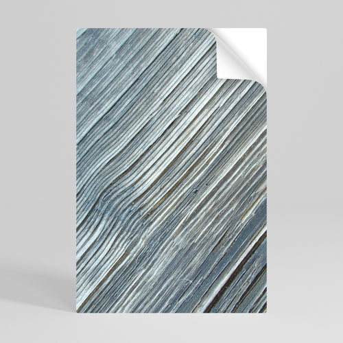 NATURE’S RIBBON RELIC Peel and Stick Vertical Poster