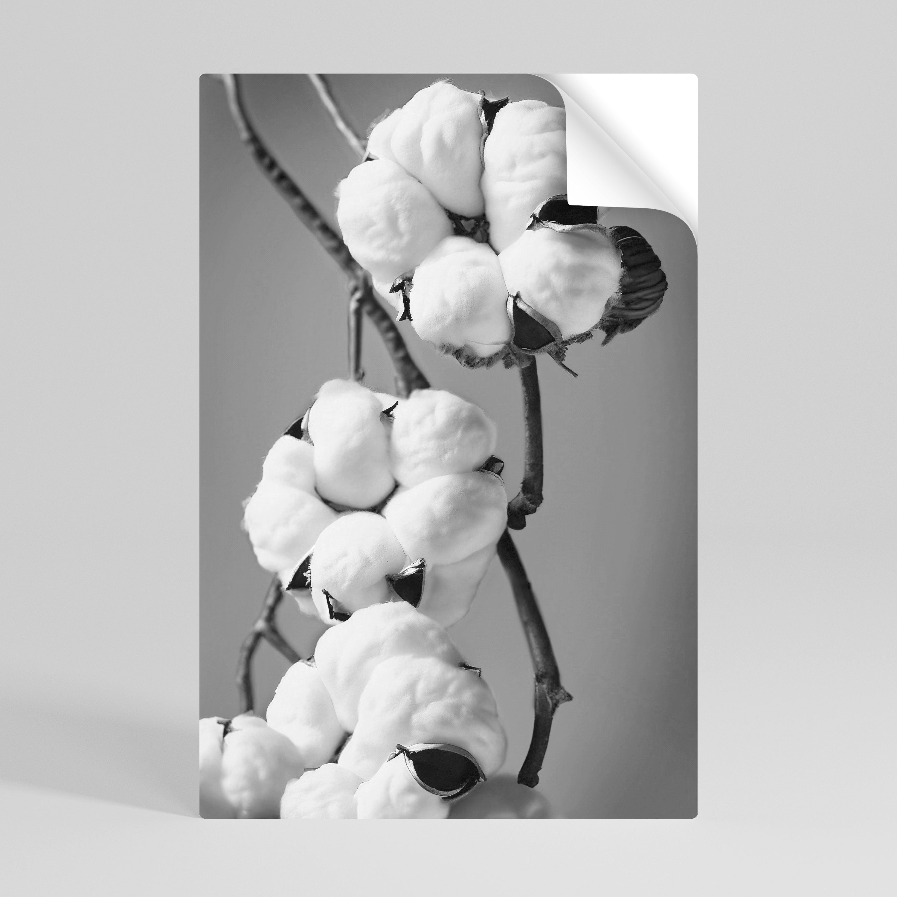 COTTON DREAMSCAPE Svislý samolepicí plakát