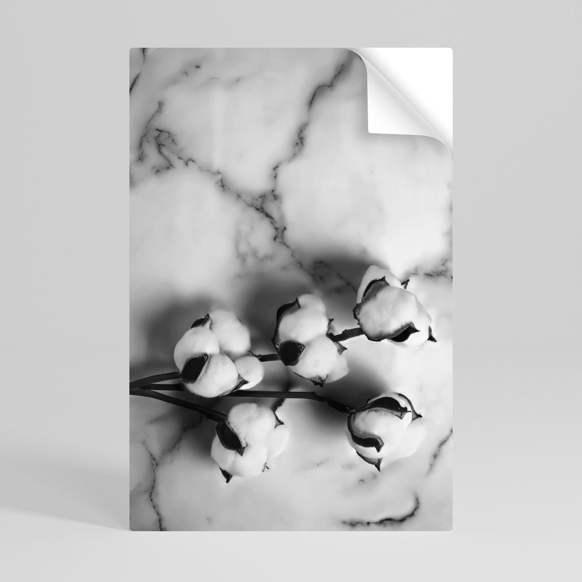 MONOCHROME COTTON DREAMS Svislý samolepicí plakát
