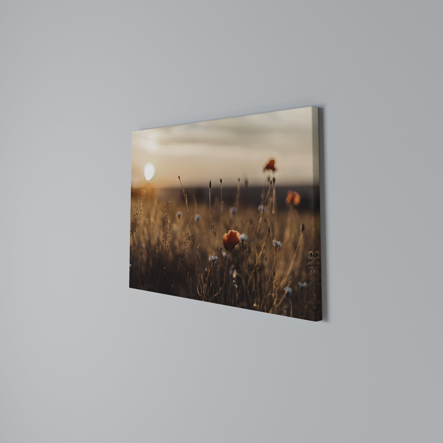GLOWING MEADOWS AT DUSK Horizontal Canvas Print