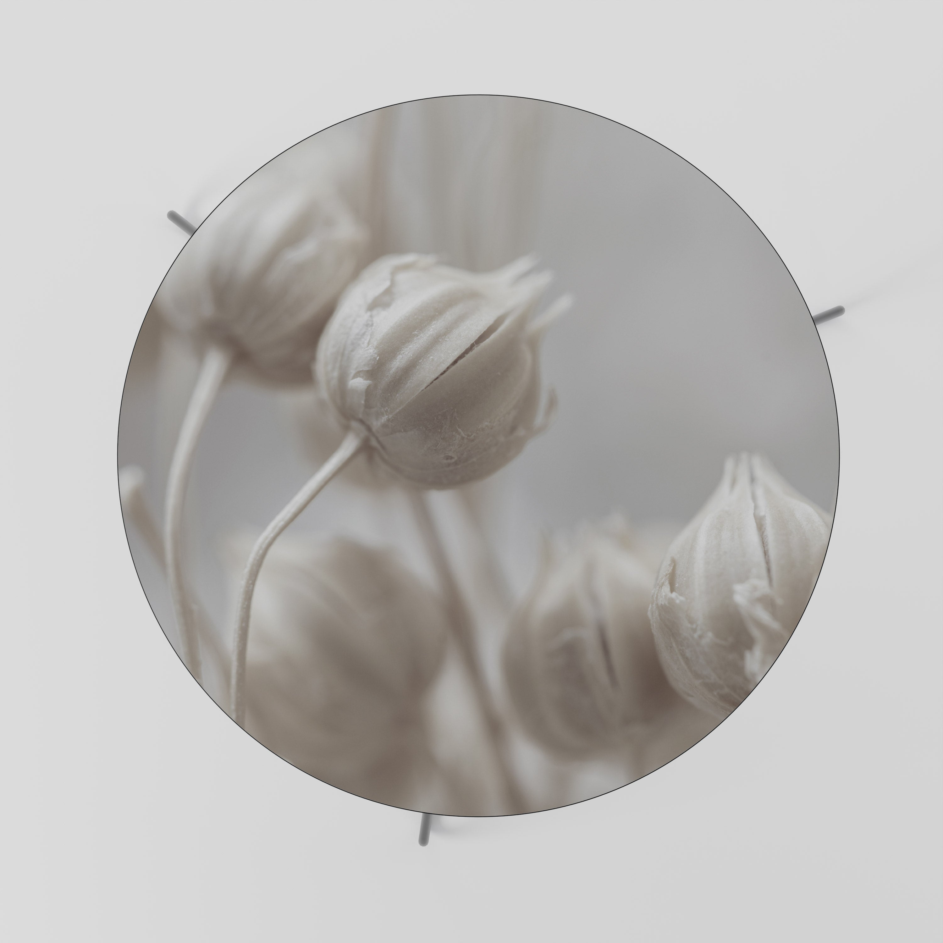 MYSTICAL BOTANICAL BLUSH Konferenční stolek