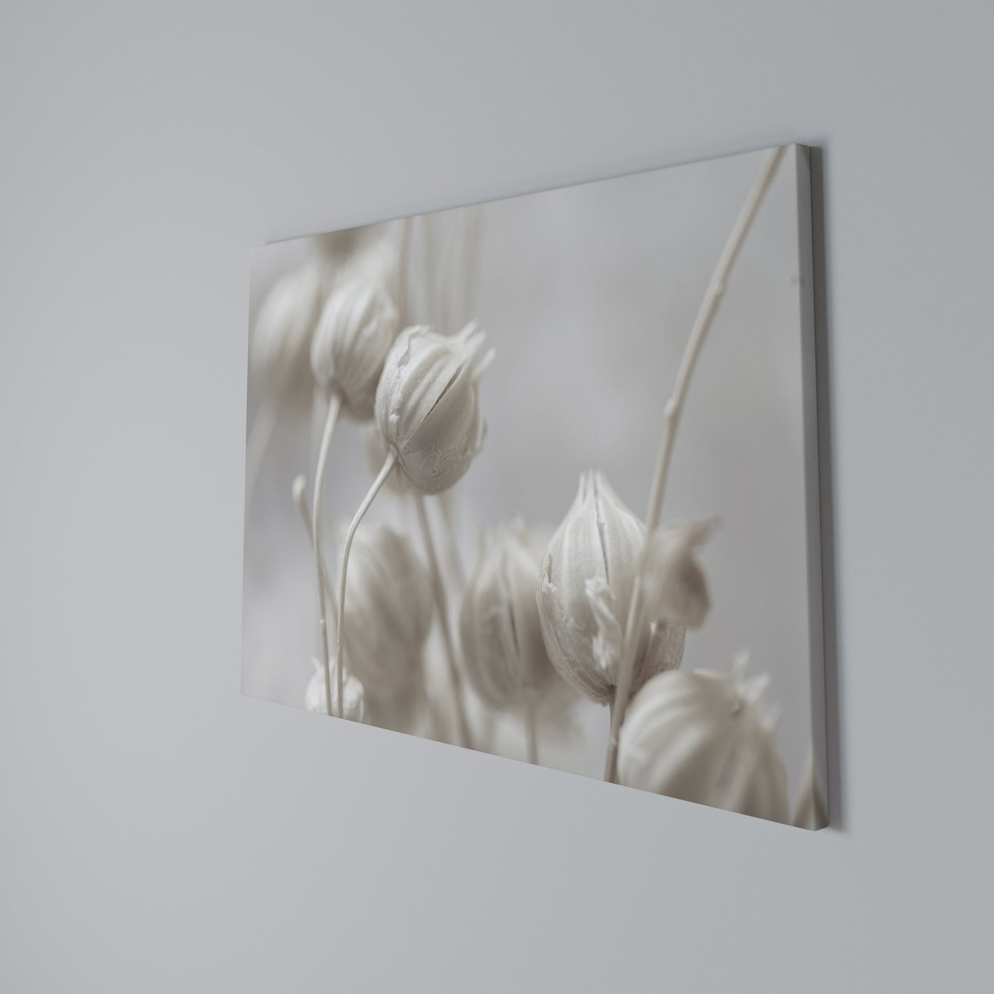 MYSTICAL BOTANICAL BLUSH Horizontal Canvas Print