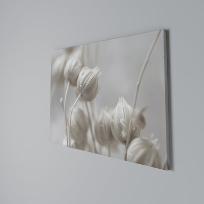 MYSTICAL BOTANICAL BLUSH Horizontal Canvas Print