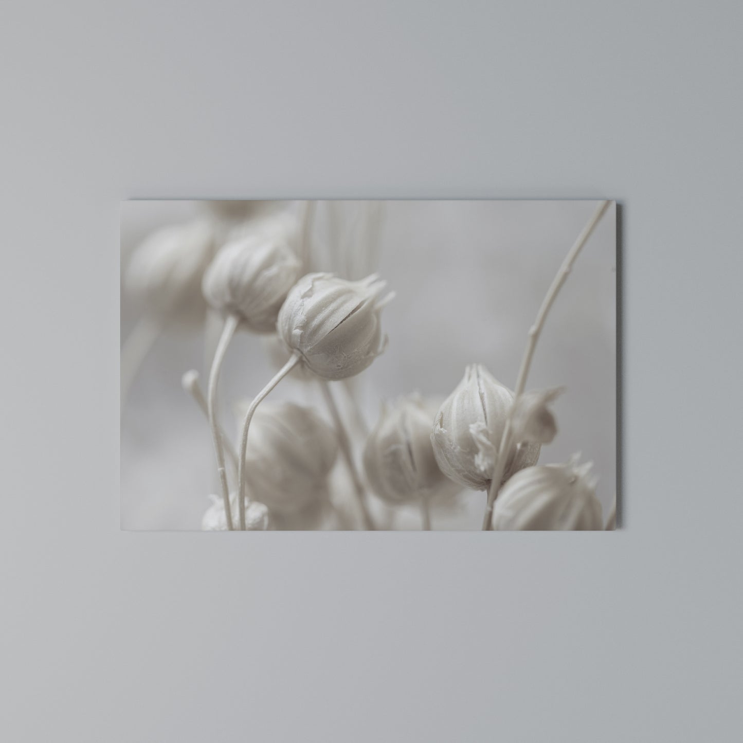 MYSTICAL BOTANICAL BLUSH Horizontal Canvas Print